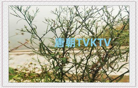唐朝TVKTV