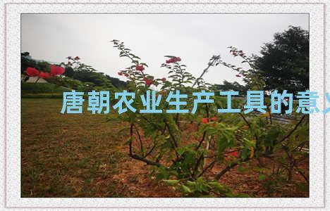 唐朝农业生产工具的意义
