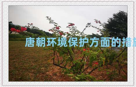 唐朝环境保护方面的措施