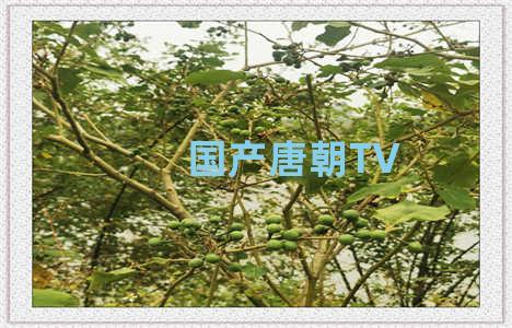 国产唐朝TV